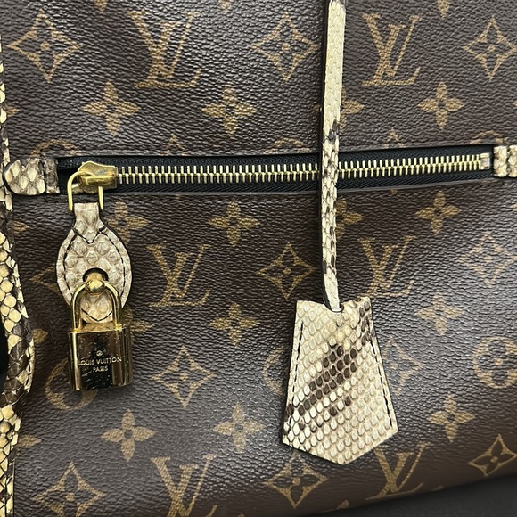 Rare Louis Python Bag - Picture 2 of 12